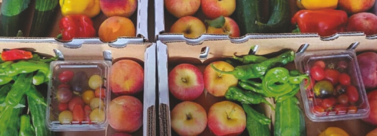 Sampling of the fresh produce boxes from Early Morning Orchard typically sent to local food pantries, like LIFT-UP. These boxes specifically are to be sent to Head Start Program pantries.