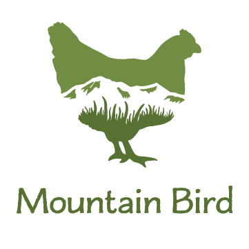 Mountain Bird